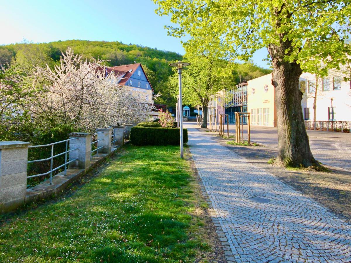 Pension Kurhausblick Bad Suderode Exterior foto